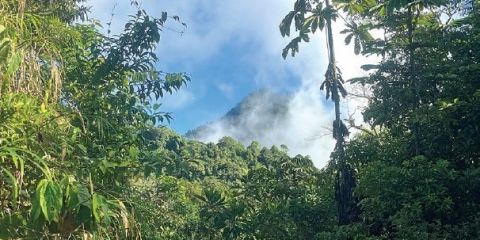 Píšeme do Radničních listů: 04/2026