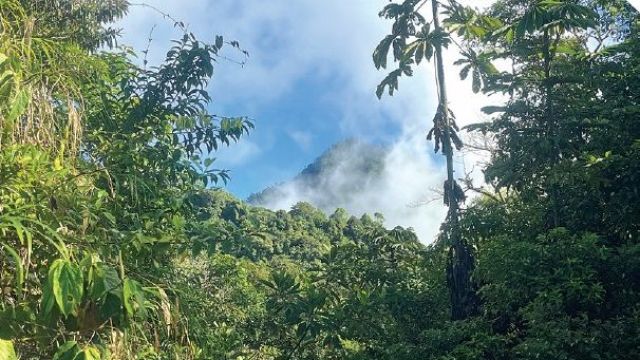 Píšeme do Radničních listů: 04/2026